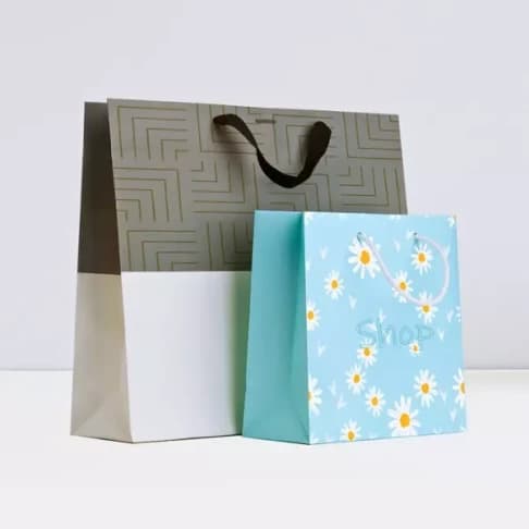 Custom Paper Bags 4
