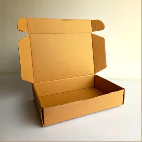 Takeout Mailer Boxes 3