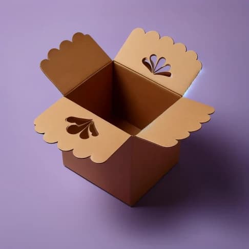 Die Cut Kraft Boxes 4
