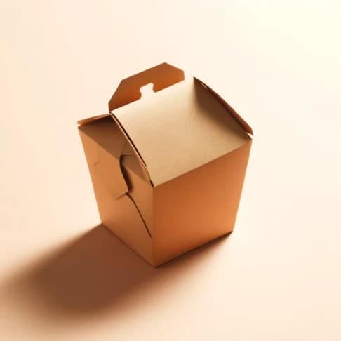 Kraft Takeout Boxes