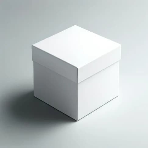 Kraft White Boxes 2
