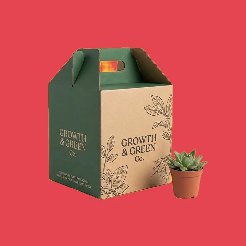 Plant Packaging Wholesale