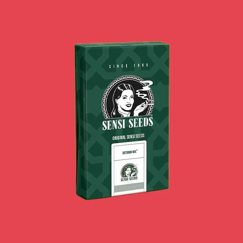 Custom CBD Seed Boxes