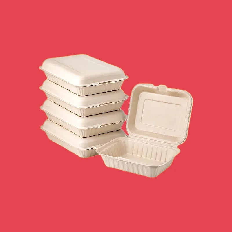 Sugarcane Bento Boxes