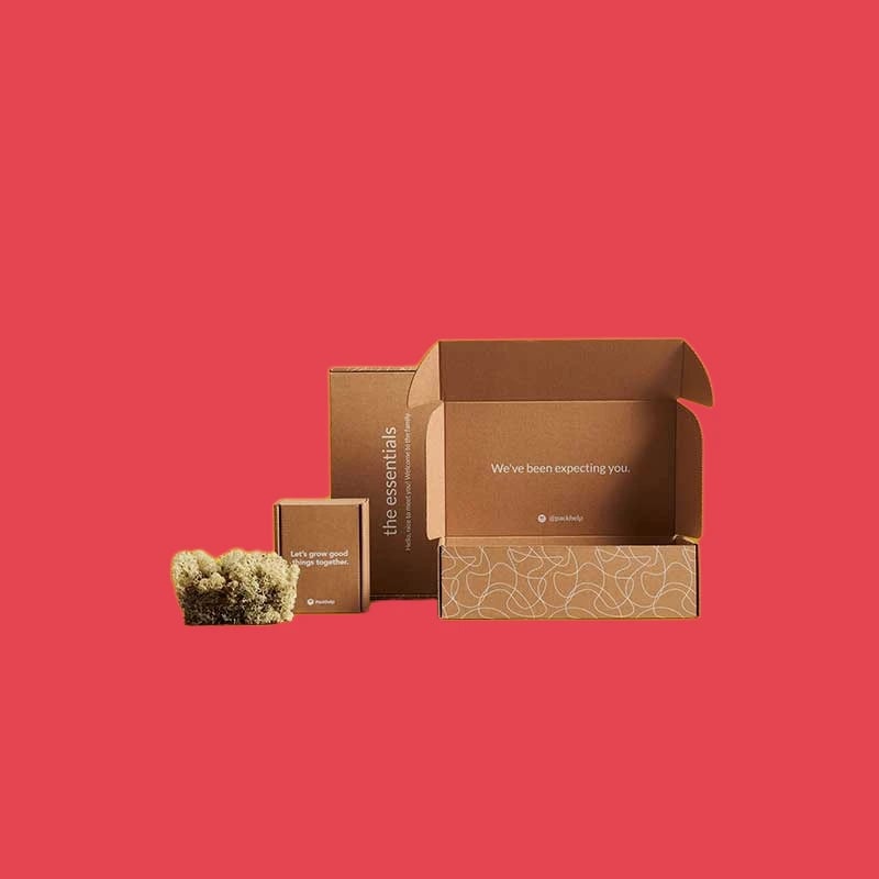 Custom Corrugated Cardboard Pr Boxes