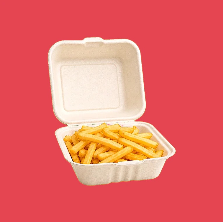 Sugarcane Takeaway Boxes